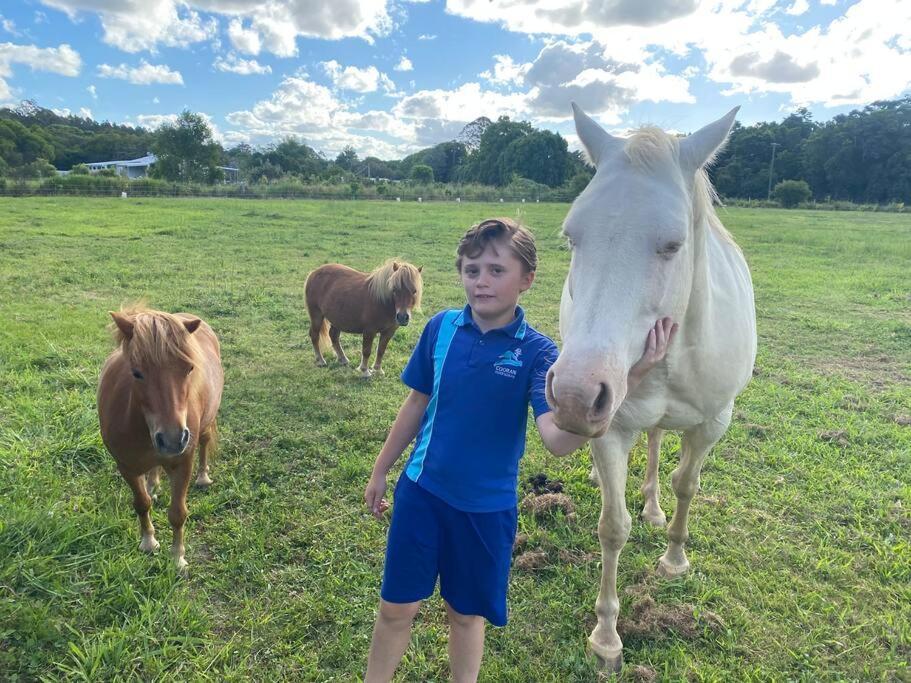 Pinbarren Green Lodges Noosa Dış mekan fotoğraf