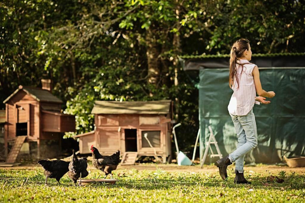 Pinbarren Green Lodges Noosa Dış mekan fotoğraf